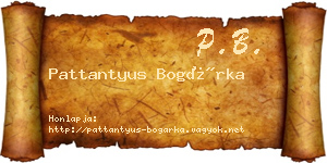 Pattantyus Bogárka névjegykártya